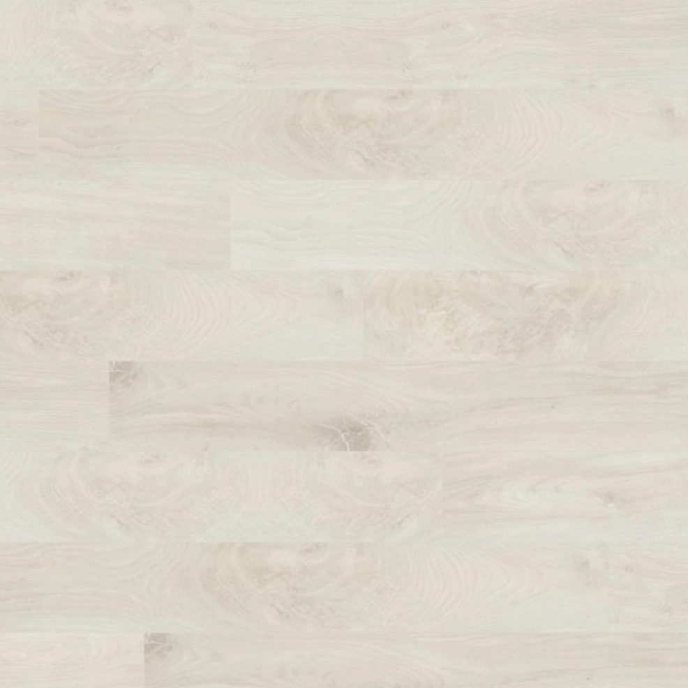 Pine Needle Oak from Aspen View